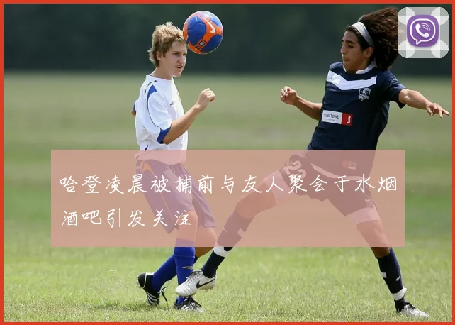 哈登凌晨被捕前与友人聚会于水烟酒吧引发关注